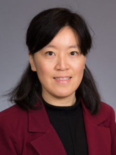 Dr. Jun Wang